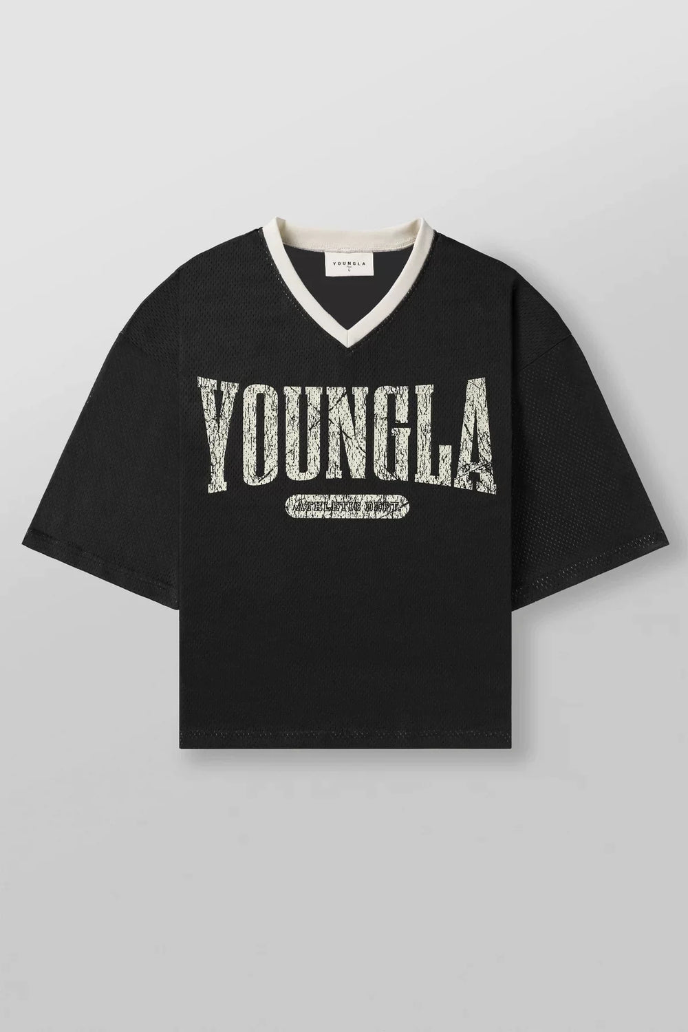 YOUNG LA American Trendy Brand Fitness Sports Short Sleeve Quick Drying Breathable Loose Large Mesh Trendy T-shirt Top for Men (5)