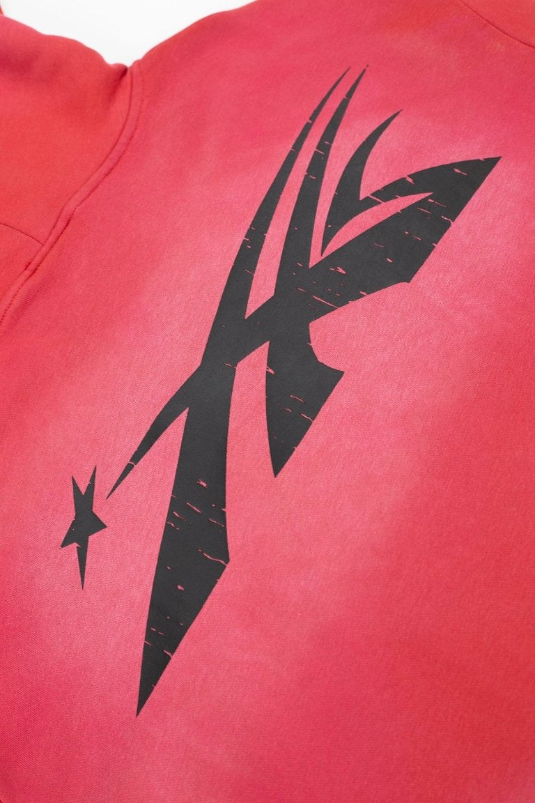 HELLSTAR Flame Skull Burst & Sleeve Text Heavyweight Hoodie