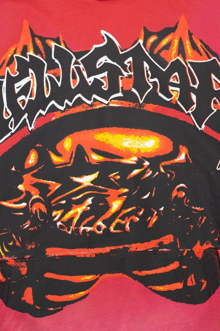 HELLSTAR Flame Skull Burst & Sleeve Text Heavyweight Hoodie